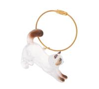 SOIMISS Porte-Clés Flacon Transparent de Chat pour Rangement Poils D’Animaux Boîte Commémorative Compacte pour Souvenirs de Moustaches de Chaton Accessoire Portable Voyage et Usage