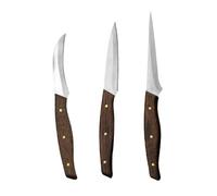 SOIMISS Set de Couteaux à Fruits Acier Inoxydable pour Sculpture et Décoration Outils de Gravure pour Cuisine Maison et Restaurant Robustes et