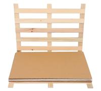 SOIMISS Set de Pinces Bois pour Spécimens Végétaux avec Papier Absorbant Clip Herbier Pratique et Réutilisable pour Création de Plantes Usage Laboratoire et Personnel Format Grand