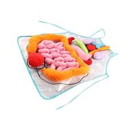 SOIMISS Tablier Anatomique Garçon Fille Polyester Support Pédagogique Ludique pour Apprentissage des Organes du Corps Humain Outil Éducatif Scolaire Interactif
