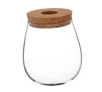 SOIMISS Vase Hydroponique Créatif pour Plantes Terrarium Transparent Élégant Station de Propagation pour Culture Simplifiée des Plantes Décor de Bureau Moderne