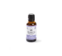 Soin fleur transport pour chien Velbecia Bach Noir 30 ml