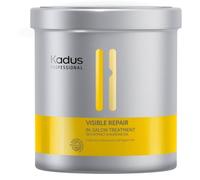 Kadus Visible Repair In-Salon Treatment