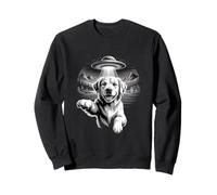 Soirée Chien UFO avec Vaisseau Spatial Extraterrestre Golden Retriever Sweatshirt