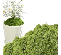 soitzhoc Imitation de Mousse Artificielle | pour jardinières d'intérieur et d'extérieur Fausse Mousse vegetale, aménagement paysager | Convient pour l'artisanat, Les compositions Florales (200g)