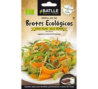 SOJA Vert - Haricot Mung - Vigna Radiata