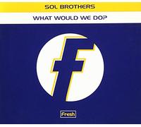 SOL BROTHERS - What Would We Do [Import]