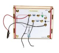 SOL-EXPERT Kit de punaises Funny Electronic