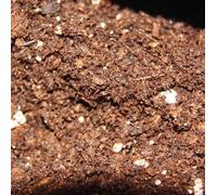 Sol pour plantes carnivores - sol carnivore