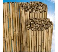 Sol Royal Canisse en bambou SolVision B38 Fence 100x250cm haie brise-vue brande jardin terrasse balcon - Protection regards vent