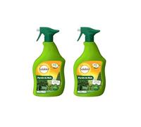 Pyrale du buis | Solabiol | prêt-à-l 'Emploi | Pulvérisateur 750 ML | Action Rapide | Agit par Contact | pour Plantes d'intérieur et d'extérieur