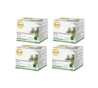 SOLABIOL 4 Pièges à chenilles Processionnaire du Pin - Prêt à l'emploi - Lutte Responsable - 100% d'origine Naturelle - Utilisable en Agriculture Biologique SOPIPROX4