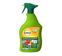 Solabiol Pucerons Cochenilles Acarien et Pyrale du buis prêt-à-l'emploi Pulvérisateur 750ml | Action Rapide | Agit par Contact | pour Plantes d'intérieur et d'extérieur
