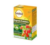 SOLABIOL Engrais Fraisiers & Petits Fruits - 1,5kg - Jusqu'à 30m² - Stimulateur De Croissance - Nutrition Longue Durée - Jusqu'à 50% De Fraises En Plus - Utilisable En Agriculture Biologique SOFRAY15