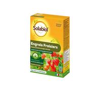 Solabiol Engrais Fraisiers & Petits Fruits 750 g – Jusqu'à 15 m² – Jusqu'à 50% de fraises en plus