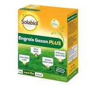 SOLABIOL Engrais Gazon Plus - 2,5 kg - Granulés - Jusqu'à 62m² - Nutrition Longue Durée - Gazon Dense & Vert - Action Rapide - Utilisable En Agriculture Biologique SOGAZPLUS25