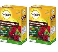 SOLABIOL Engrais Phosphate Naturel - 2x1,5Kg - Jusqu'à 50m² - Améliore La Floraison - Optimise La Formation Des Racines - Pour Toutes Les Cultures - Utilisable En Agriculture Biologique