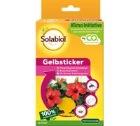 Solabiol Fiches Jaunes Collantes - 10 pièces