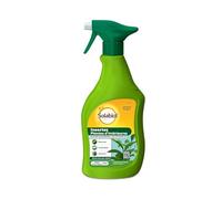 SOLABIOL Anti Insectes Plantes D'Intérieures - 500ml -Prêt A L'Emploi - Action Choc - Pucerons Cochenilles & Acariens SOPVPAL500