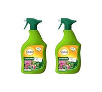 SOLABIOL Lot De 2 Anti Cochenilles - 2 Pulvérisateurs - 2x750ml - Élimine Oeufs Larves & Adultes - Action Rapide & Agit Par Contact - Utilisable En Agriculture Biologique SOCOCHPAL750NX2