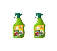 SOLABIOL Lot De 2 Insectes Polyvalent - 2 Pulvérisateurs - Prêt A L'emploi - 2x750ml - Agit Par Contact - Action rapide - Traitement Curatif - Pour Plantes D'Intérieur & D'Extérieur SOPOLYPAL750NX2