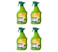 SOLABIOL Lot De 4 Sprays Anti Cochenilles - 4 Pulvérisateurs - 4x750ml - Élimine Oeufs Larves & Adultes - Action Rapide & Agit Par Contact - Utilisable En Agriculture Biologique SOCOCHPAL750NX4