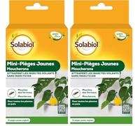SOLABIOL Mini-Pièges Jaunes Moucherons - Discret - pour Plantes D'Intérieur - 10 Pièges - SOPIFLORN (Lot de 2)