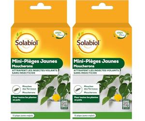 SOLABIOL Mini-Pièges Jaunes Moucherons - Discret - pour Plantes D'Intérieur - 10 Pièges - SOPIFLORN (Lot de 2)