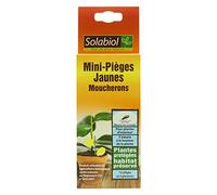 SOLABIOL Mini-Pièges Jaunes Moucherons Discret pour Plantes D'Intérieur - 8 x 2 x 23 cm - SOPIFLOR