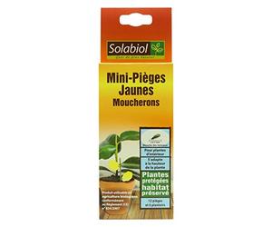 SOLABIOL Mini-Pièges Jaunes Moucherons Discret pour Plantes D'Intérieur - 8 x 2 x 23 cm - SOPIFLOR