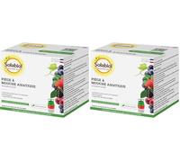SOLABIOL Piège à Mouches Asiatiques | Prêt à l'emploi | Lutte Responsable | 100% d'origine naturelle | Anti Mouches Asiatiques | Utilisable en Agriculture Biologique | Fabriqué en France (Lot de 2)