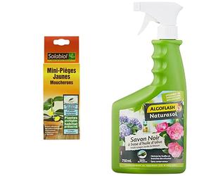 SOLABIOL SOPIFLOR Mini-Pièges Jaunes Moucherons Discret, 8 x 2 x 23 cm & ALGOFLASH NATURASOL Savon Noir prêt à l’emploi, pour jardin, plantes d’intérieur et entretien maison, Pulvérisateur 750 ml