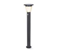 Solaire LED Capteur Borne Lumineuse Pesaro - Couleur de la Lumière 3000K Blanc Chaud - Max. 600 Lm Lichtstrom - D'Autonomie 8 Hauteur - Dimensions 20 X 95 CM - Lampe Lampadaire Détecteur Mouvement