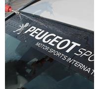 SoLaka Décoration d'autocollant de Pare-Brise Avant arrière de Voiture pour Peugeot 206 307 308 3008 207 208 407 508 2008 5008 107 106 205 4008 301