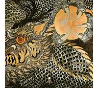 Solar Lovers - Vinyle 33 Tours