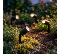 SolarCentre Juno Lot de 4 spots solaires d'extérieur Micro USB