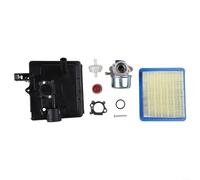 Solaughguy Kit de carburateur 799868 795259 pour moteurs et moteurs 4-7HP Compatible avec les modèles 14111 498170 497314 497586 498254 498255 498966 avec filtre d'étanchéité pour