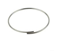 Solaughguy Ressort à cliquet pour Novatec et Quanto Mountain pour composants de moyeu de vélo, corps en métal de 20 mm/26 mm de diamètre, noir (lot de 1) (26 mm sans crochet)