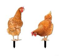 Solaughguy Statue de poulet en acrylique pour art extérieur - Décoration de jardin résistante aux intempéries avec construction durable, facile à installer pour pelouse et jardin (combinaison)