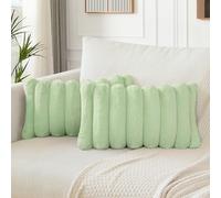 Soleebee Lot de 2 housses de coussin décoratives en velours doux en fourrure synthétique pour canapé, chambre à coucher, maison, canapé, voiture, 30 x 50 cm, vert clair