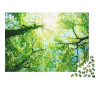 Soleil à Travers Feuilles Puzzle 1000 Pièces avec Découpe Précise, Jeu De Puzzle Classique Concentration Training Puzzle pour Un Tableau À Encadrer, Superbe Idée Cadeau 38x26cm/1000p