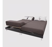 Soleil d'Ocre, Drap Housse TPR en Coton 57 Fils 2x70x190 cm UNI Brun