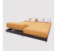 Soleil d'Ocre Drap-housse TPR en coton 57 fils 2 x 80x200 cm uni moutarde