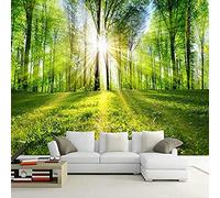 Soleil forêt Art impression peinture murale affiche photo Photo Hd impression pour Tv toile de fond chambre salon d papier peint 3d gris poster pierre photo salon chambre chambre enfant-300cm×210cm