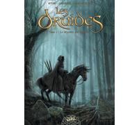 SOLEIL les druides tome 1 - le mystère des oghams