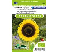 Soleil, Tournesol géant jaune - Graines de fleurs annuelles - Environ 3 g | SG5521