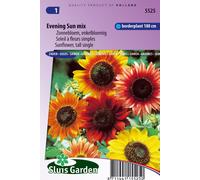 Soleil, Tournesol géant jaune - Graines- Env. 3 g | SG5525