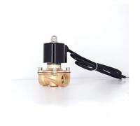 Solénoïde d'eau en laiton 2,5 cm 220 VAC 24 VDC 12 VDC 24 VAC 110 VAC Solénoïde de fontaine (NPT-220 VAC)