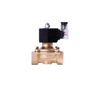 Solénoïde magnétique DN25 1 pouce for gazole, 12 V, 110 V, 24 V, normalement fermé, action directe, 10 bar(BSP-240VAC)