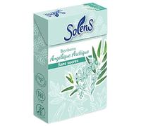 Solens Bonbons Sans Sucres Angélique Arctique 50 g